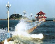 青岛天气预报7天