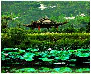 蔡甸明天天气