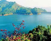 泸县后天天气