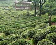 名山后天天气