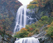 茂县明天天气